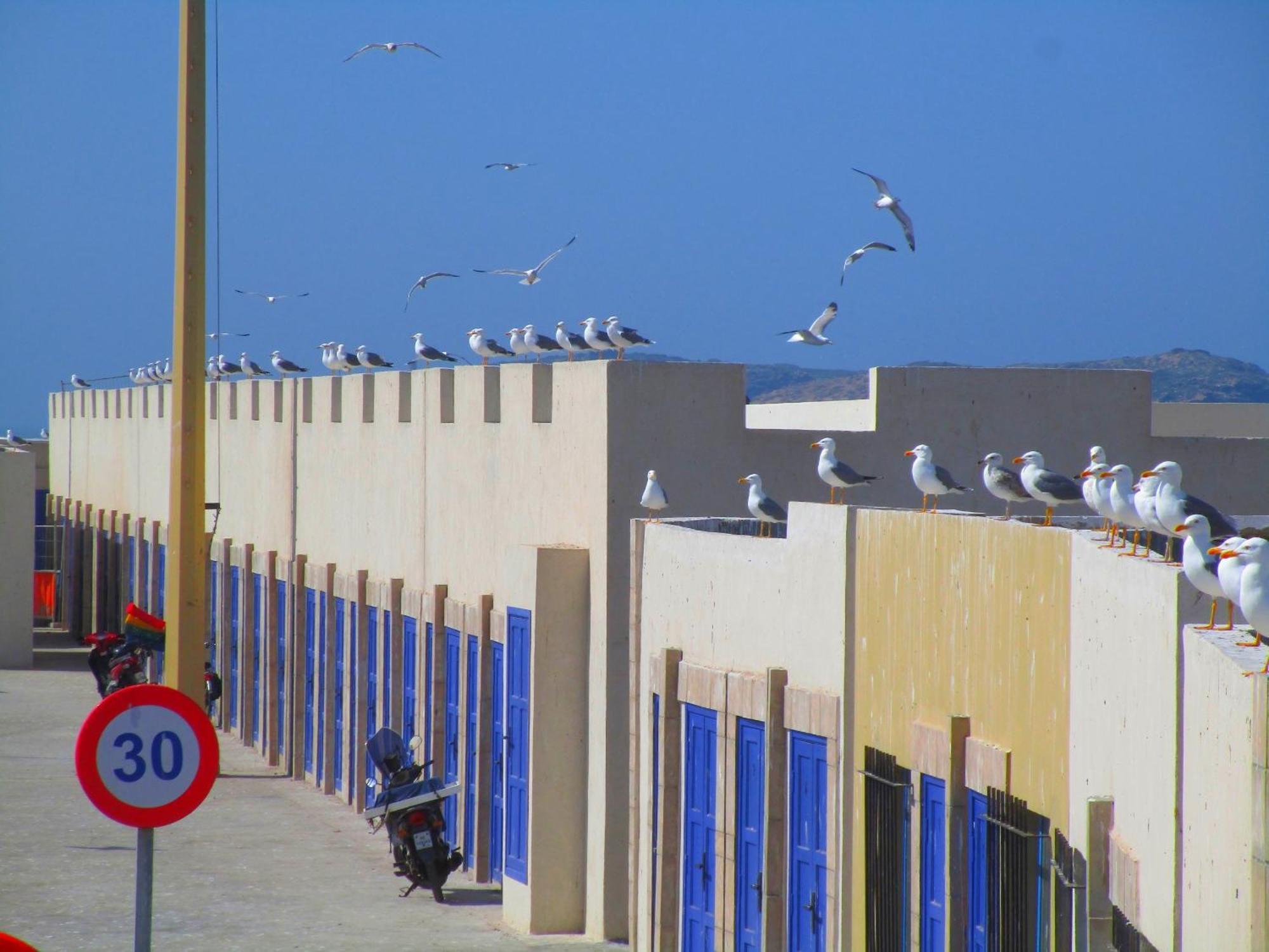 Casa Mogador Apartment Essaouira Exterior photo